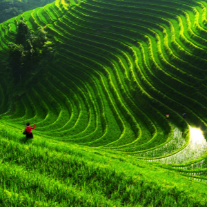 3-Day Guilin Landscape Tour