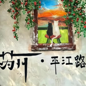 Consejos de seguridad de tráfico y viajes para visitantes a Suzhou