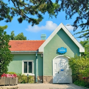 Guida all'etichetta culturale di Qingdao: Navigare tradizioni con rispetto e grazia