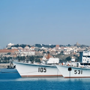 Efficiente compensazione doganale e multilingue Servizi in Qingdao: un'esperienza senza barriere nell'era senza visto