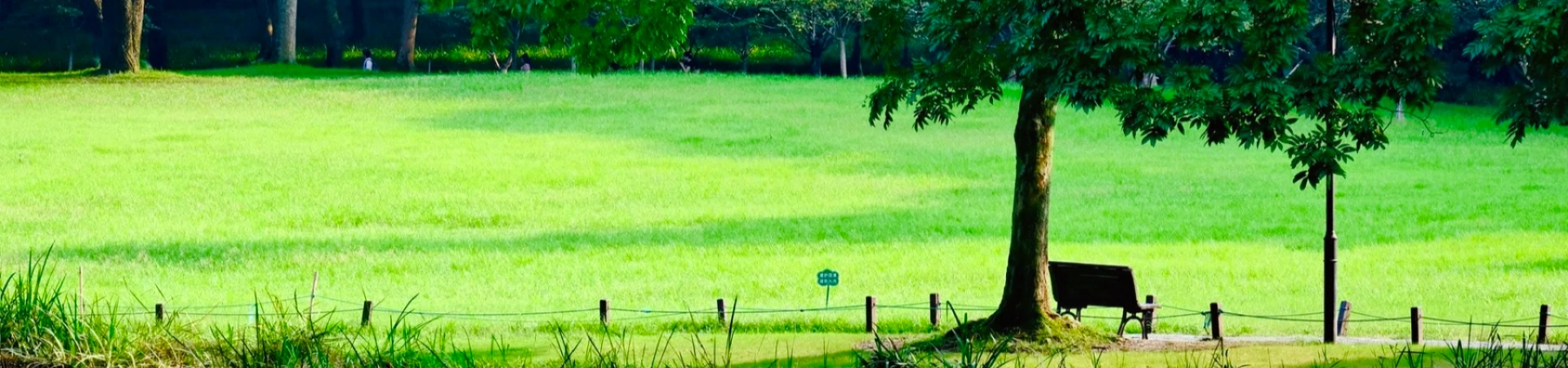 الطابق الخامس: مسلسل (جوردونيوميك) من خلال موكب المدينة