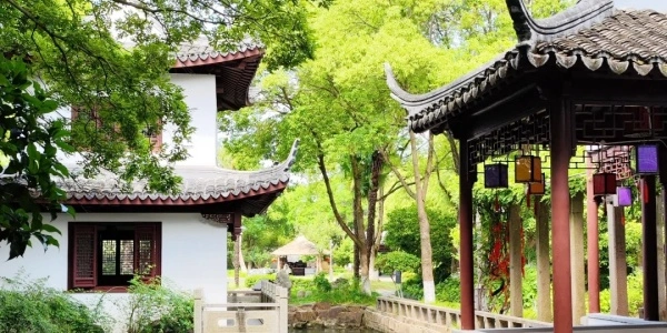 اليوم 2: شنغهاي