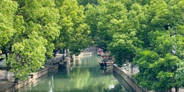 اليوم 2: شنغهاي