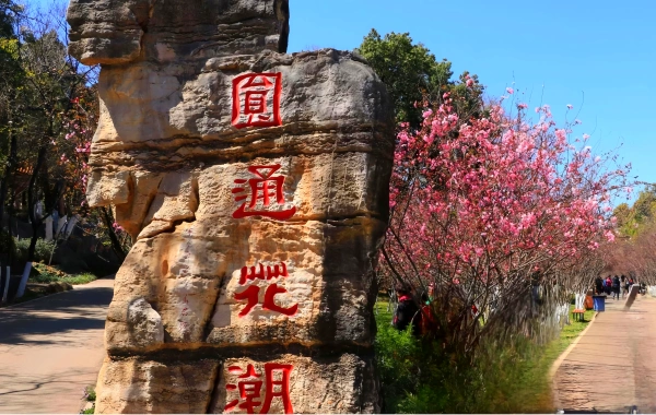 Kunming Zoo & Yuantong Mountain Park