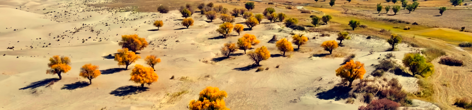 Taklamakan Desert를 탐험하는 궁극적 인 가이드 : Essential Travel Intelligence