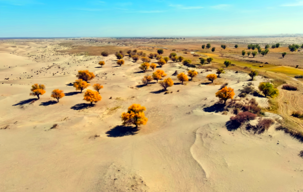 Taklamakan Desert
