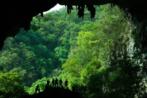 Réserve naturelle nationale de Maolan : une expédition vers la forêt de Karst Primordial