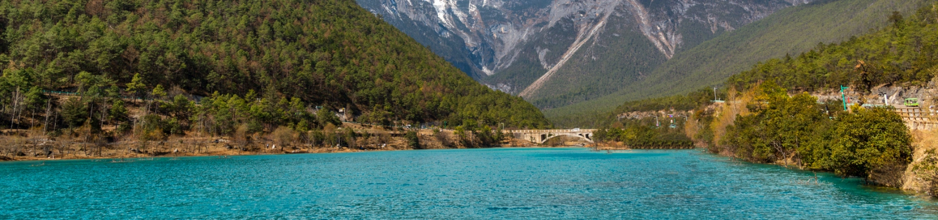 ブルームーンバレー 