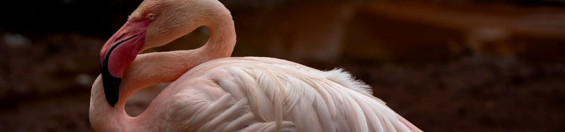 Hainan Tropical Wildlife and Botanical Garden