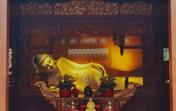 اليوم السادس: شنغهاي - شنزين