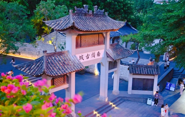 اليوم السابع: شينزين