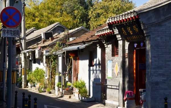 اليوم الرابع: بيجين - زانغجي