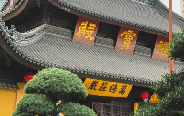 اليوم 2: شنغهاي