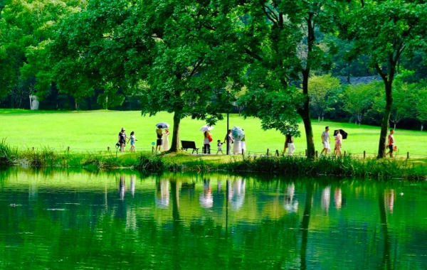 اليوم 3: شنغهاي - هانغزو