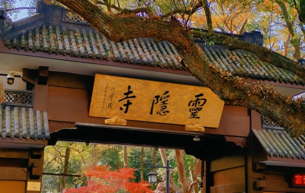 اليوم الخامس: هانغزو - وانغكسيان فالي