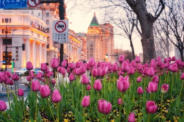 اليوم السابع: شنغهاي