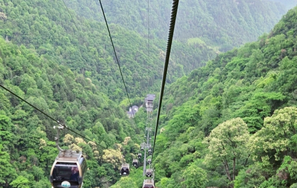 اليوم 4: زانغجياي