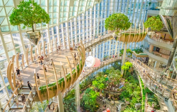 اليوم 7: مغادرة تشونغقينغ