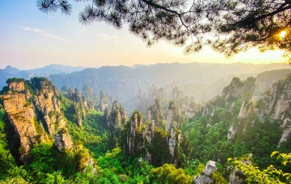 اليوم 3: شنغهاي - زانغجي