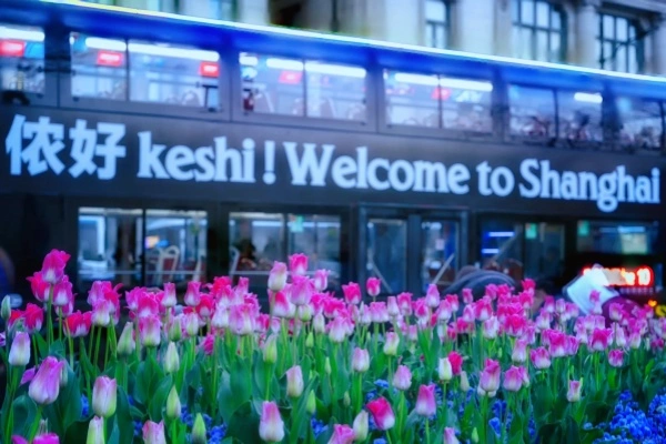 اليوم السابع: غيلين - شنغهاي