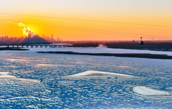 اليوم 4: هاربن