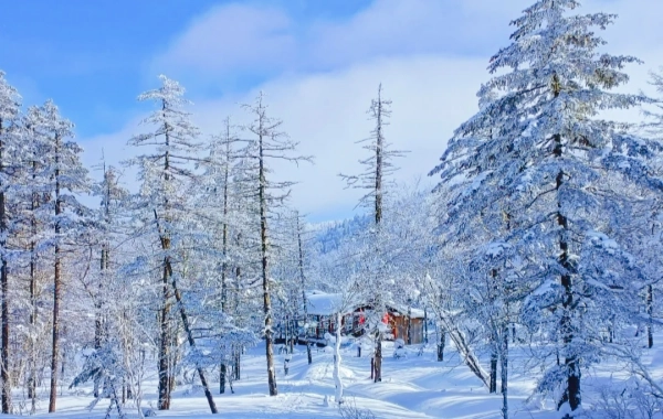  اليوم السابع: هاربين إلى بلدة سنو