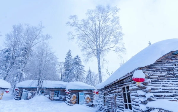  اليوم السابع: هاربين إلى بلدة سنو