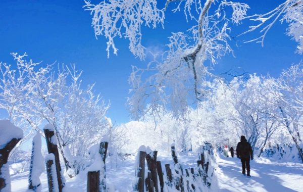 اليوم الثامن: مدينة الثلج إلى يابولي