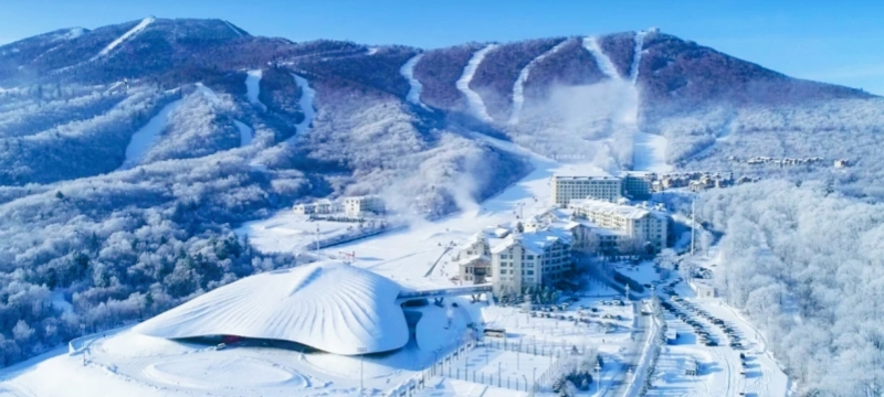 اليوم الثامن: مدينة الثلج إلى يابولي