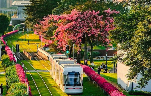 اليوم 3: غوانغزو