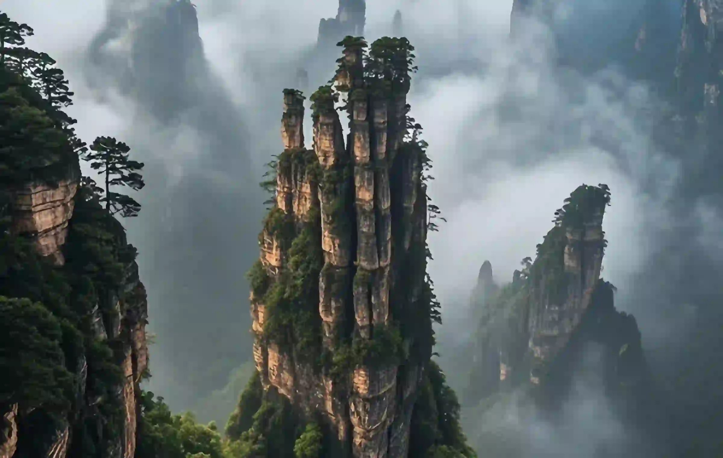 اليوم الثامن: تشونغ - زانغجي