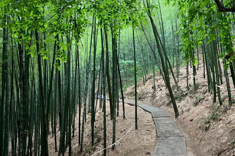 Furong Ancient Town