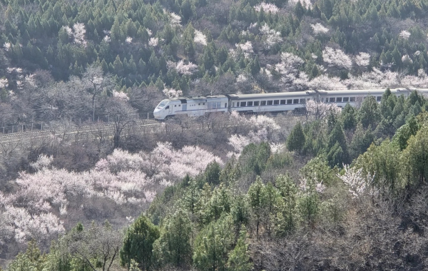 Furong Ancient Town