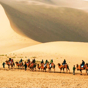 Silk Road Tour