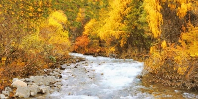 Day 2: Chengdu-Siguniang Mountain