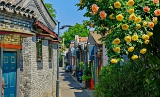 Day 4: Beijing-Xi'an