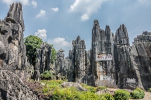 Day 1: Kunming Arrival