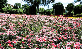 Día 1: Llegada Kunming