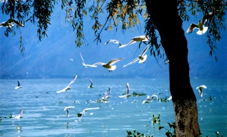 Día 3: Salida de Kunming