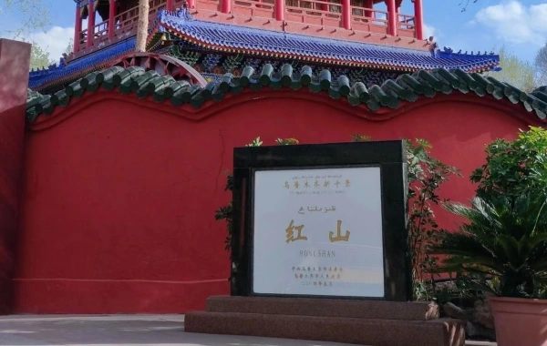 Day 2: Tianshan Grand Canyon -- Hongshan Park -- Wuyi Starlight Night Market