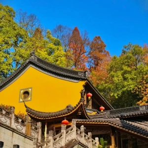 One-Day Journey Through Hangzhou's Historical Heritage