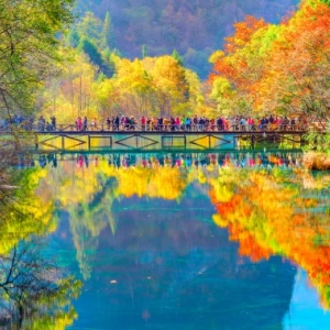 Panda, Ancient Town & Jiuzhaigou-Huanglong Tour