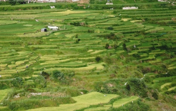 Day 8: Rongjiang - Kaili 