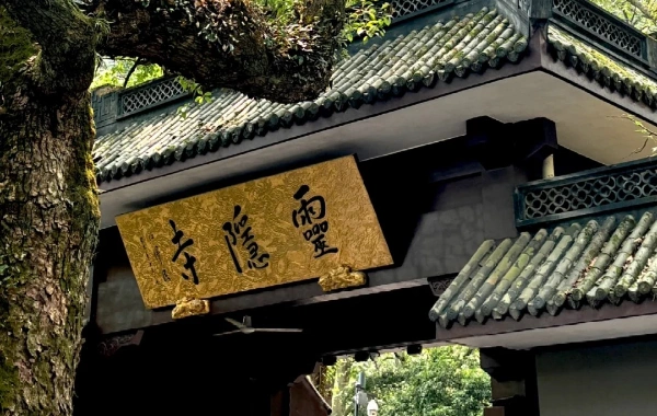 اليوم السابع: