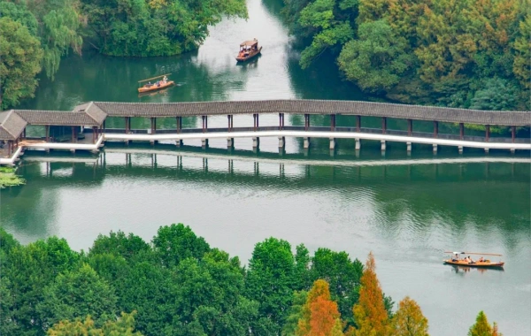 اليوم السابع: