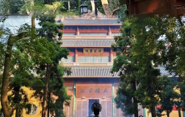 اليوم الخامس: هانغتشو ديراج