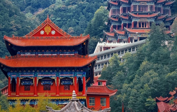 اليوم السادس: