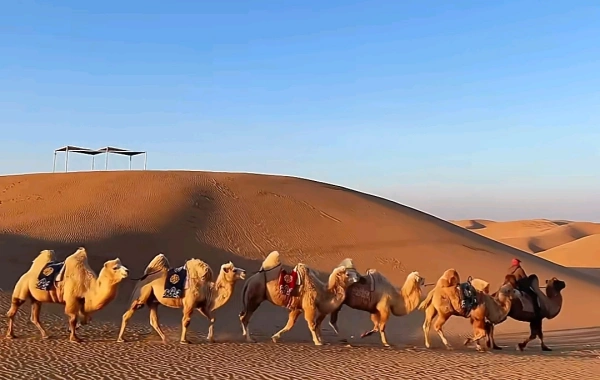 اليوم التاسع: