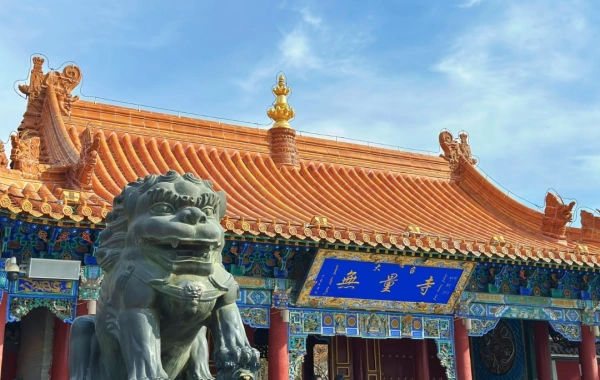 اليوم الثامن: أولانكاب - هوهوت