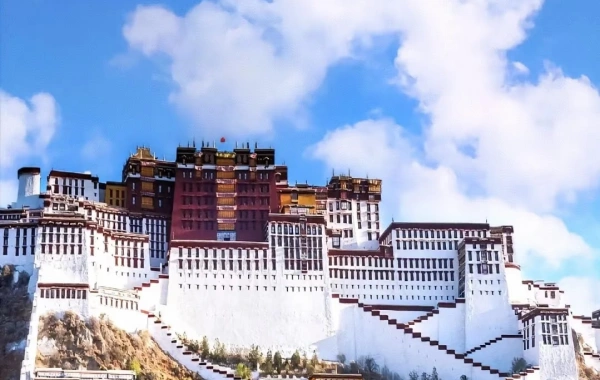 اليوم 1: لاسا